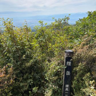 🙌中々の眺め
山頂は風が強いです