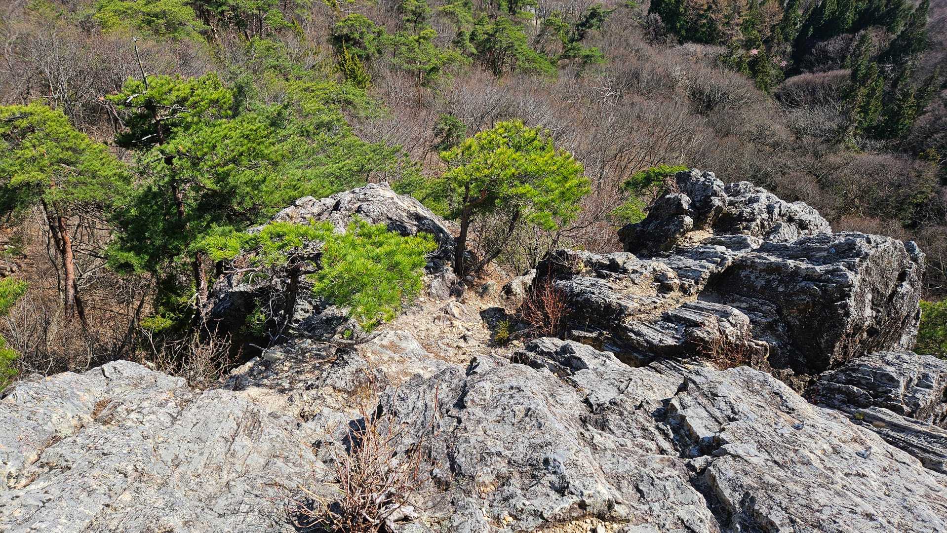 金毘羅神社-地附山-大峰山 周回コースの写真