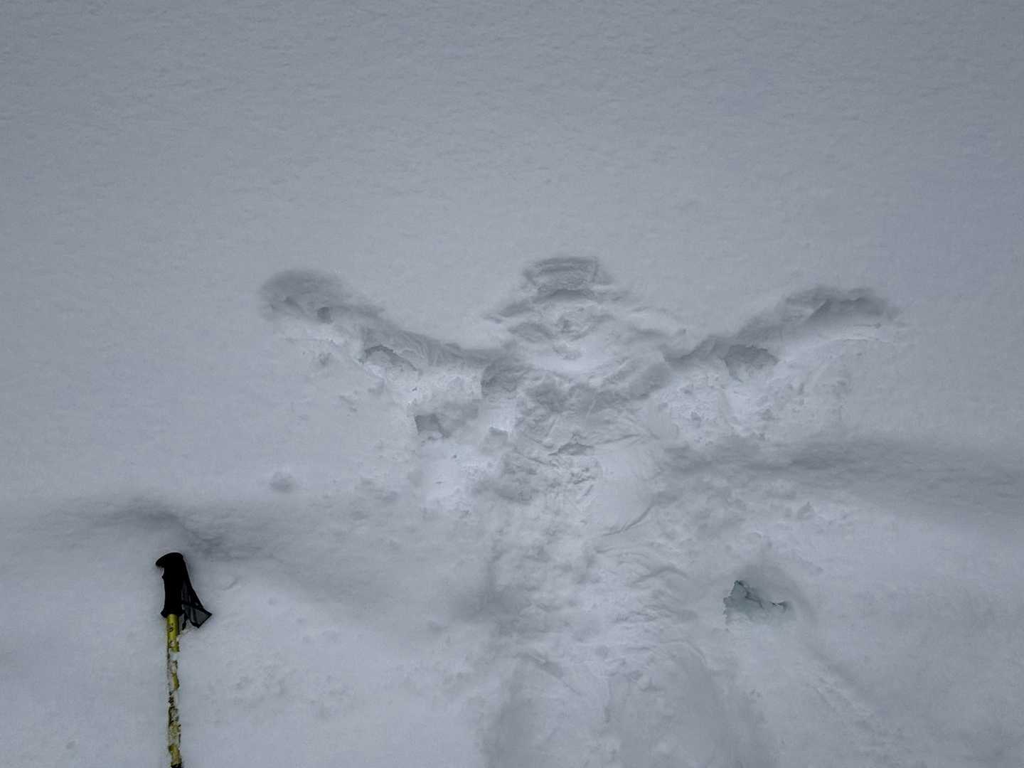 ふかふか雪にダーイブ！(膝から)
顔方が…サングラスはつけてないんだけど🕶️