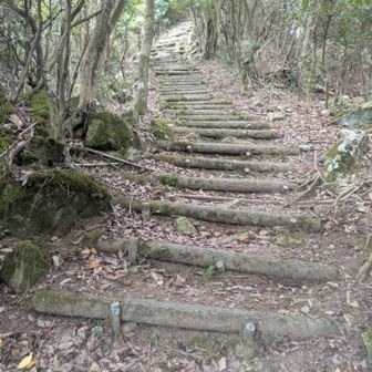 竜王山側は整備されていますが、階段地獄。短足オジサンにはキツイぜ💧‬