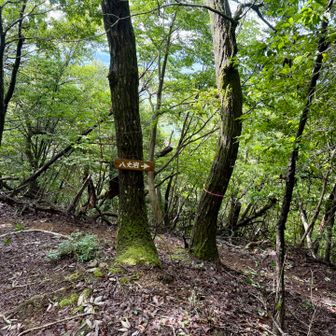 そして、山道へ