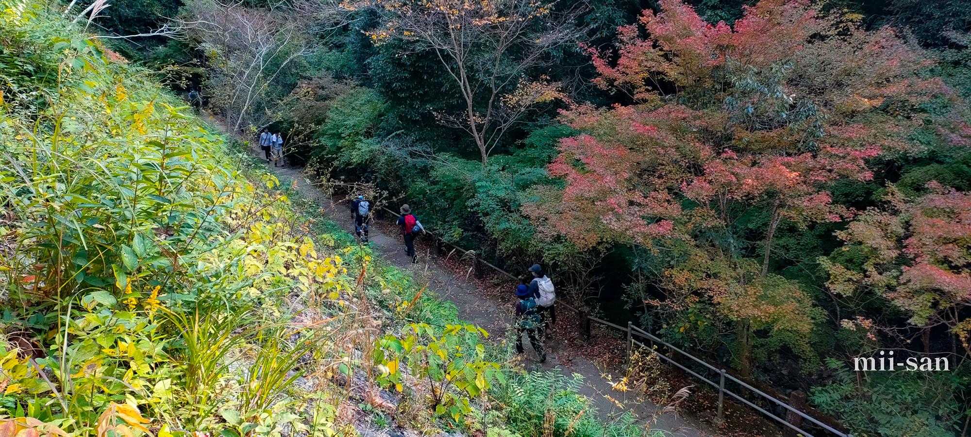 師匠の後ろ姿・・
次回はご一緒に写真を・・です