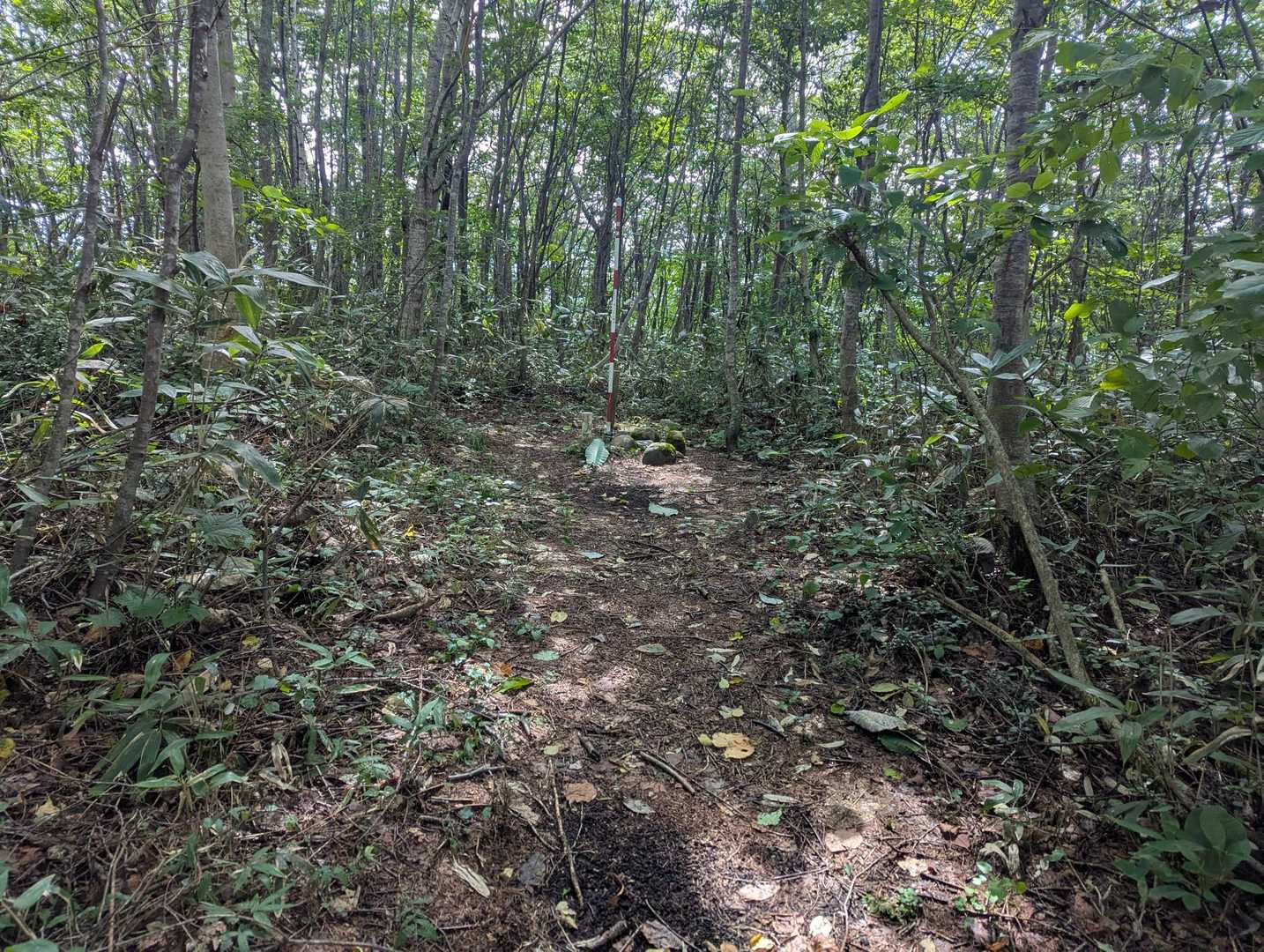 三角点に寄り道