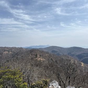 あちらが 前福根山 二分で行けるかいや 😅