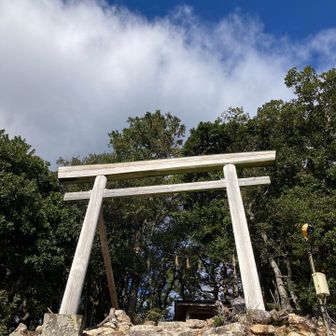 振り返って白い鳥居⛩️