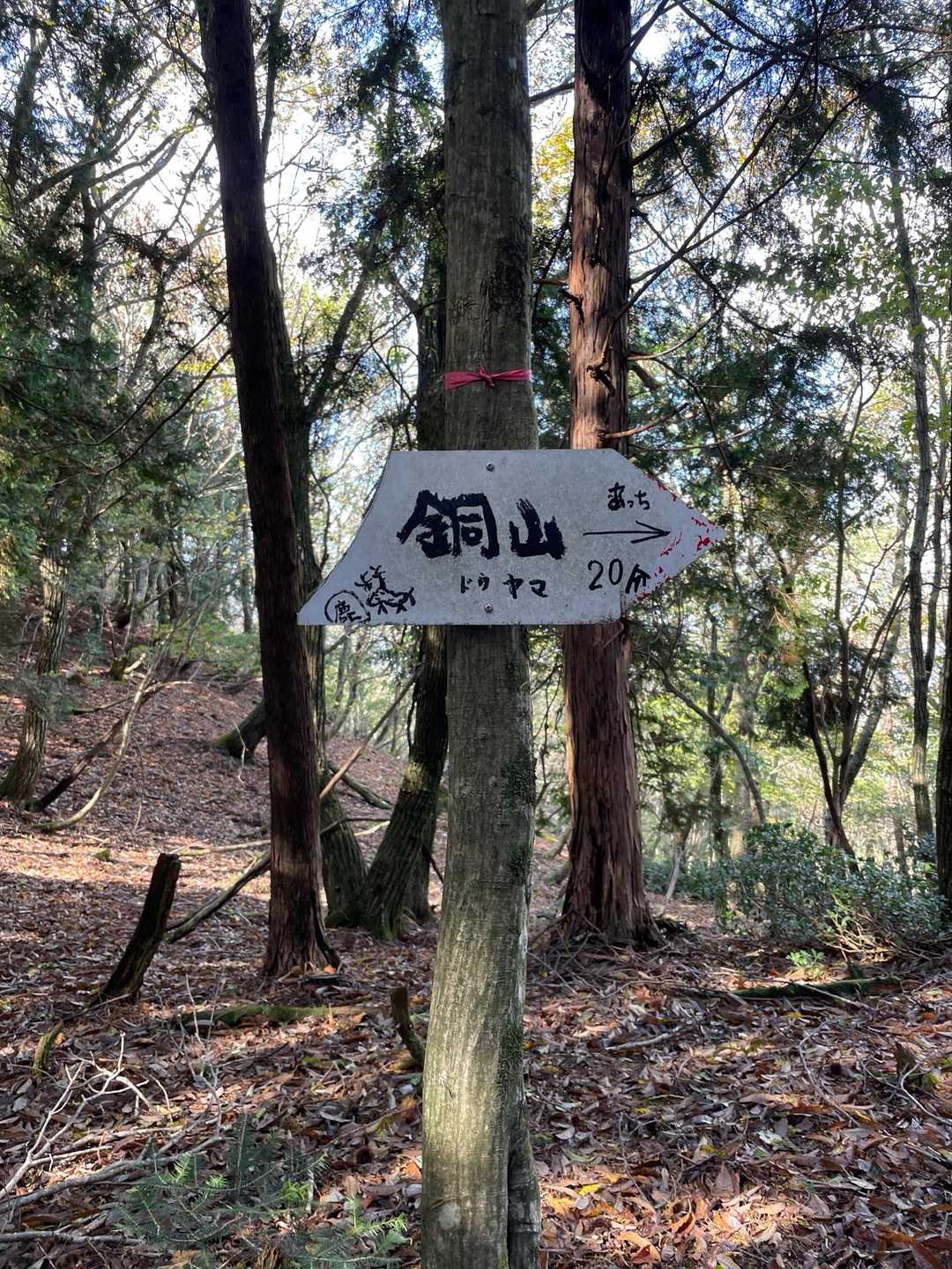 2時間近く掛かり、稜線に出ました‼️
ここからは、気持ち良い稜線歩きです😊