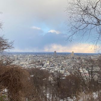 自宅方面雪雲画迫ってきているのでげざーん