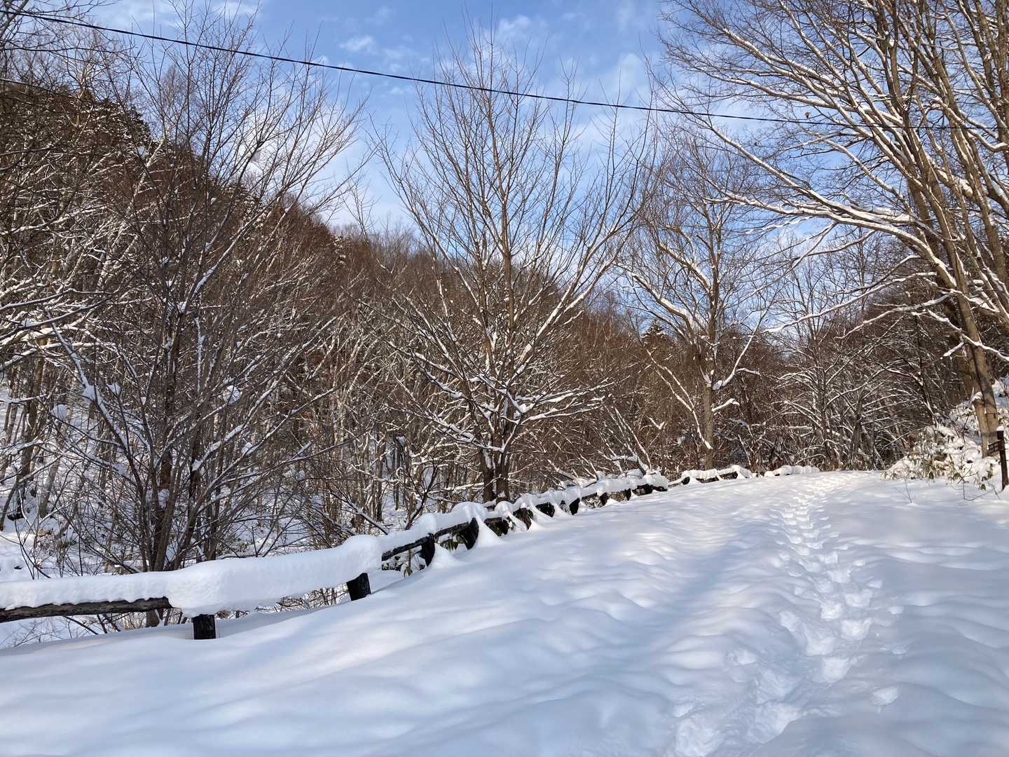 白旗山 往復コースの写真