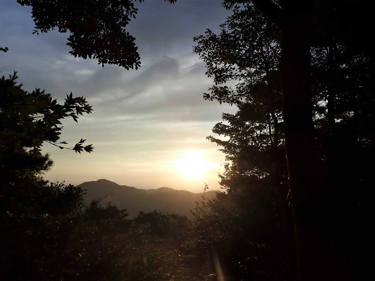 今日もいい天気