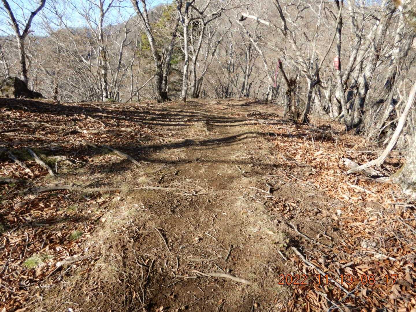 平坦な登山道で軽快だ
