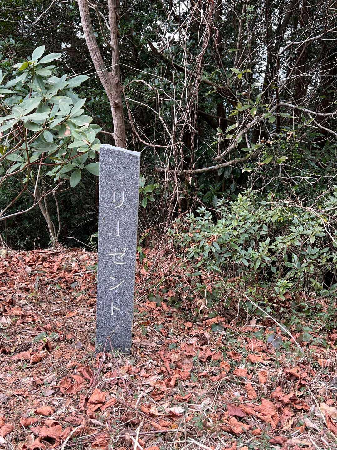 ？？