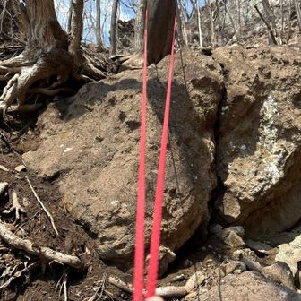 だがロープがあればなんのその😁