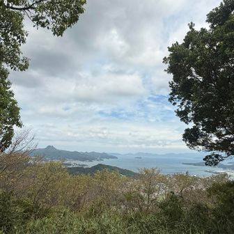 神社からの眺めは海が見えていつ見ても気持ちいい