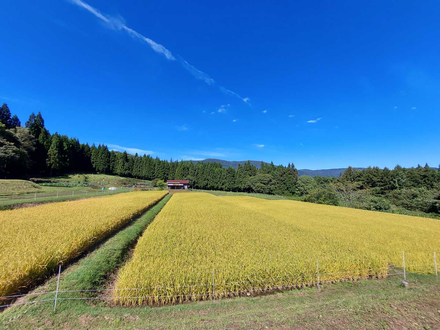 いい風景☀️