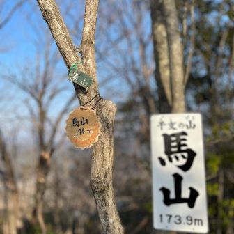 干支の山いただきました😊