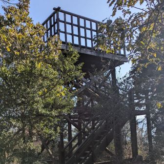 展望台がありました☺️