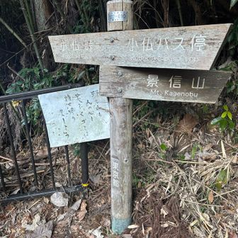 まずは景信山を目指します。