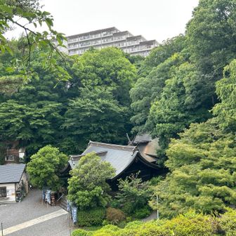 山頂から見る熊野神社の本殿。