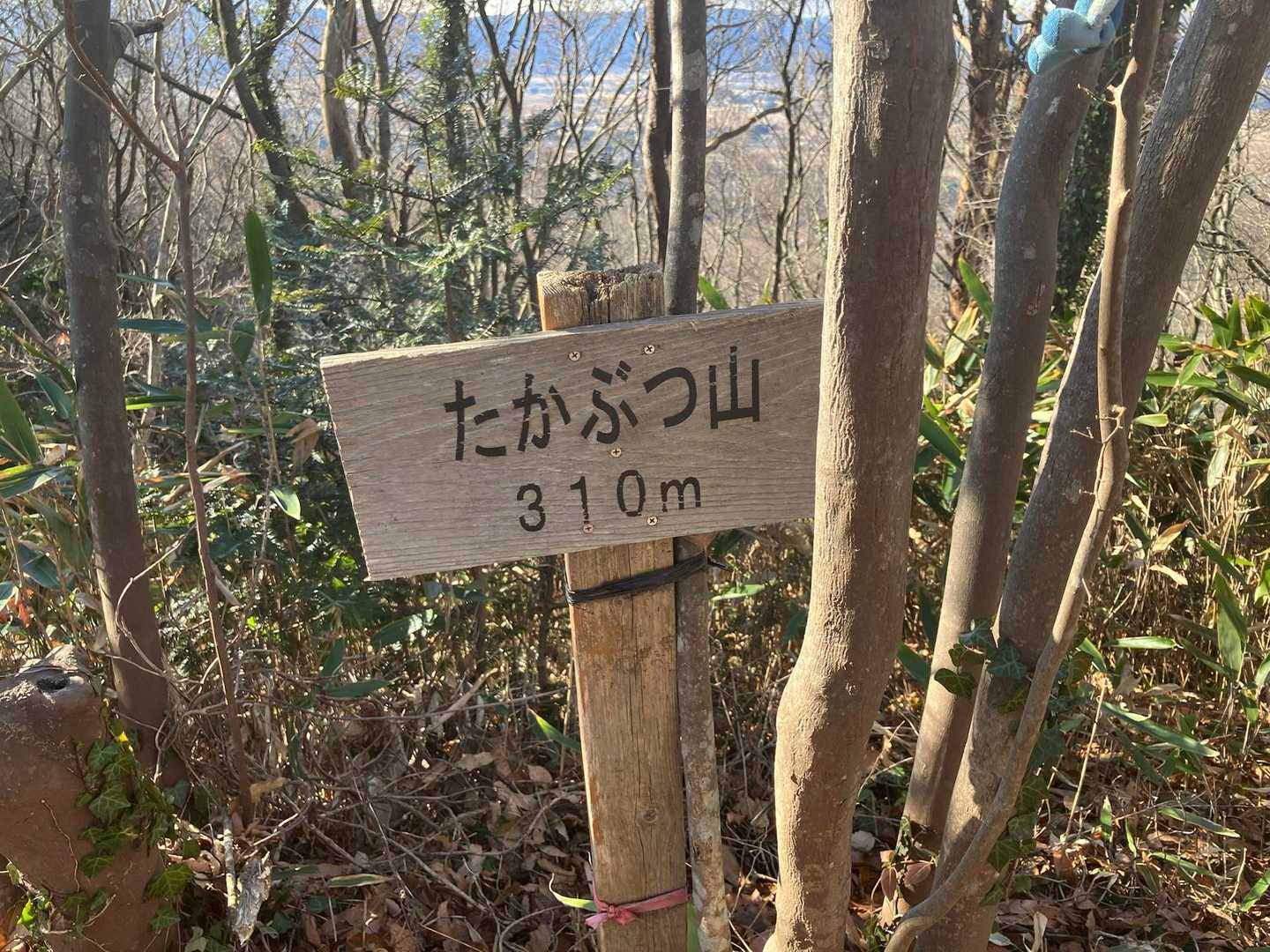 鷹🦅討山山頂
下りはたかぶつコース🥾
暖かくなって☀️、ウインドブレーカー🧥も脱いじゃいました。
ありがとうございました。🙇‍♂️