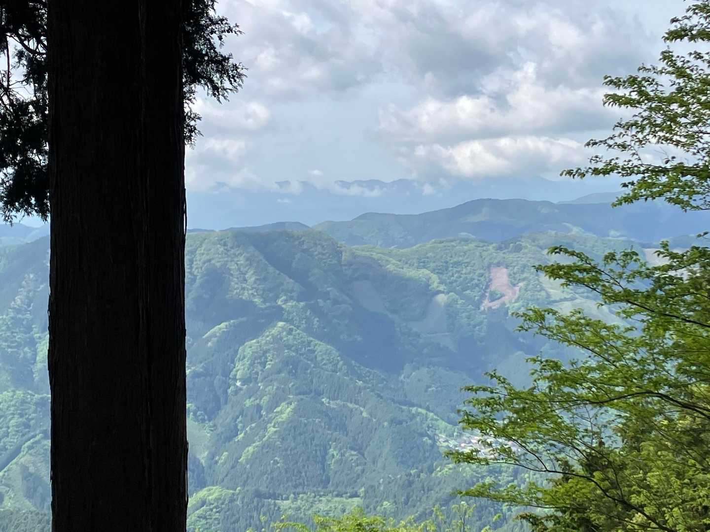 大滝-大岳山 往復コースの写真