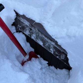 2回目にして良い感じのところを掘り当てたようです
小屋の天辺です
やったね✌️