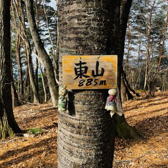 直登ルート見つけたけどやめといた