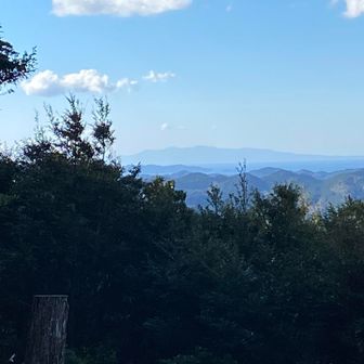 うっすらと伊豆大島