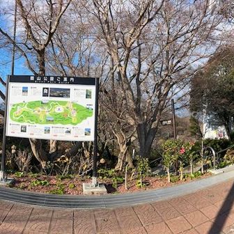 駐車場から階段を上がりココへ。
電波塔方面に劔山神社があります。