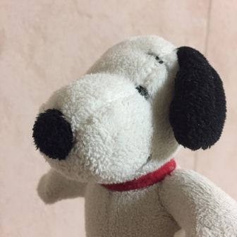 サブちゃん