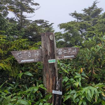 中原山の山頂標柱