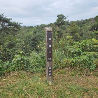 大澄山（だいちょうざん）山頂　東屋やベンチもあり見張らし良好です。