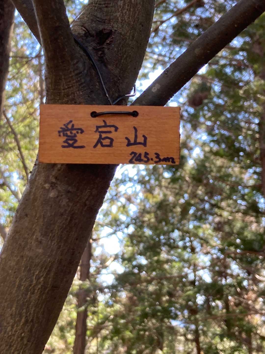 愛宕山頂上