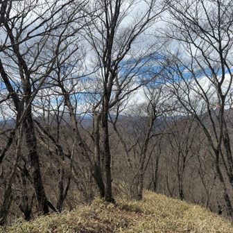 実は風がメチャ強い…
その上朝は6度…
寒いよ！