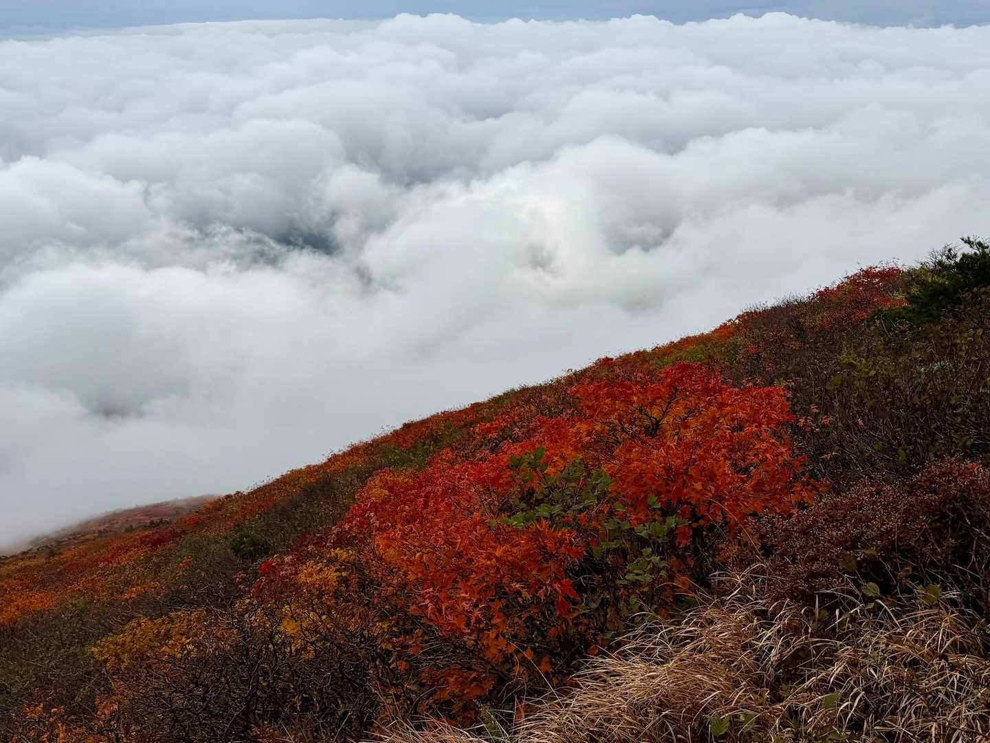 翁島登山口-磐梯山 往復コースの写真