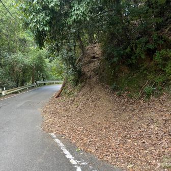 登山口