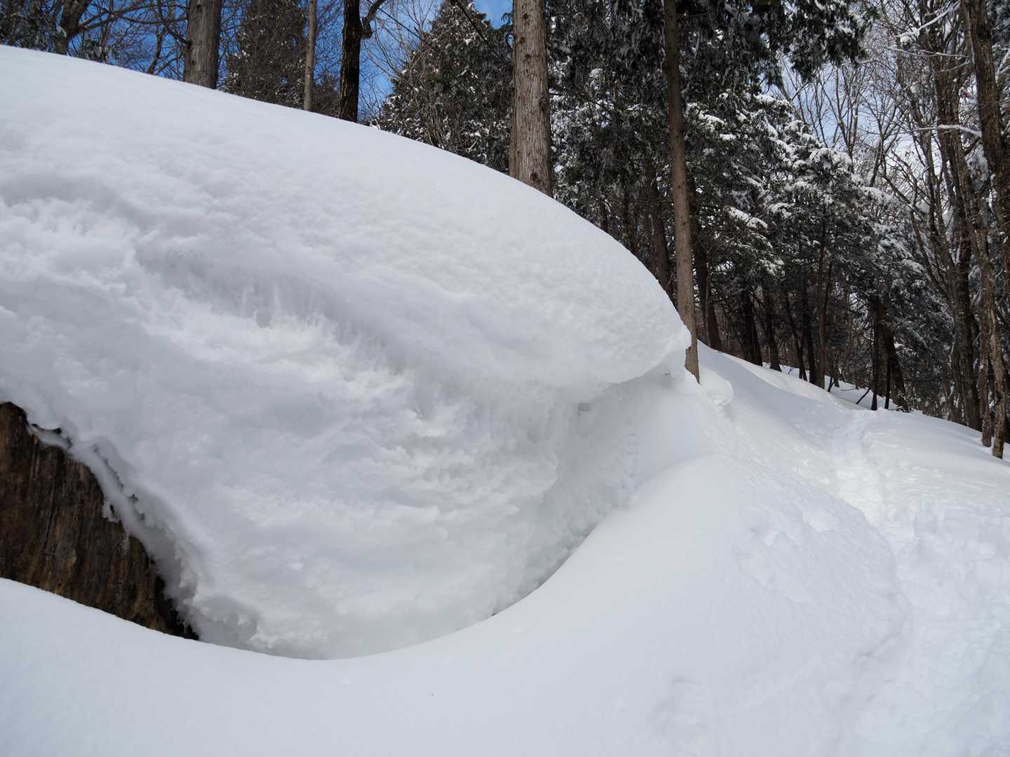 途中の雪庇もボリュームたっぷりでした。😍
