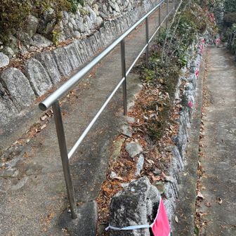 本堂の裏にある千体地蔵のごく一部。
実際には1600体以上あるそうです。
私はここでUターンしました。