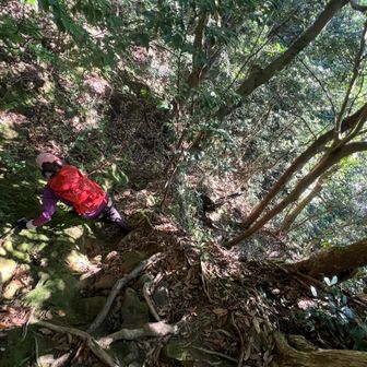 下山は谷コースを下りるつもりでしたが、