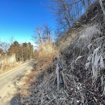 御正体山取り付きに下山。標識などなし
