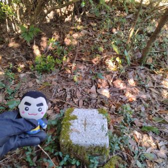 三等三角点の山頂