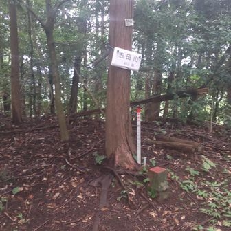 3つ目、志田山。この後、小倉山に向かったのですが、採石で山頂が無くなってました。