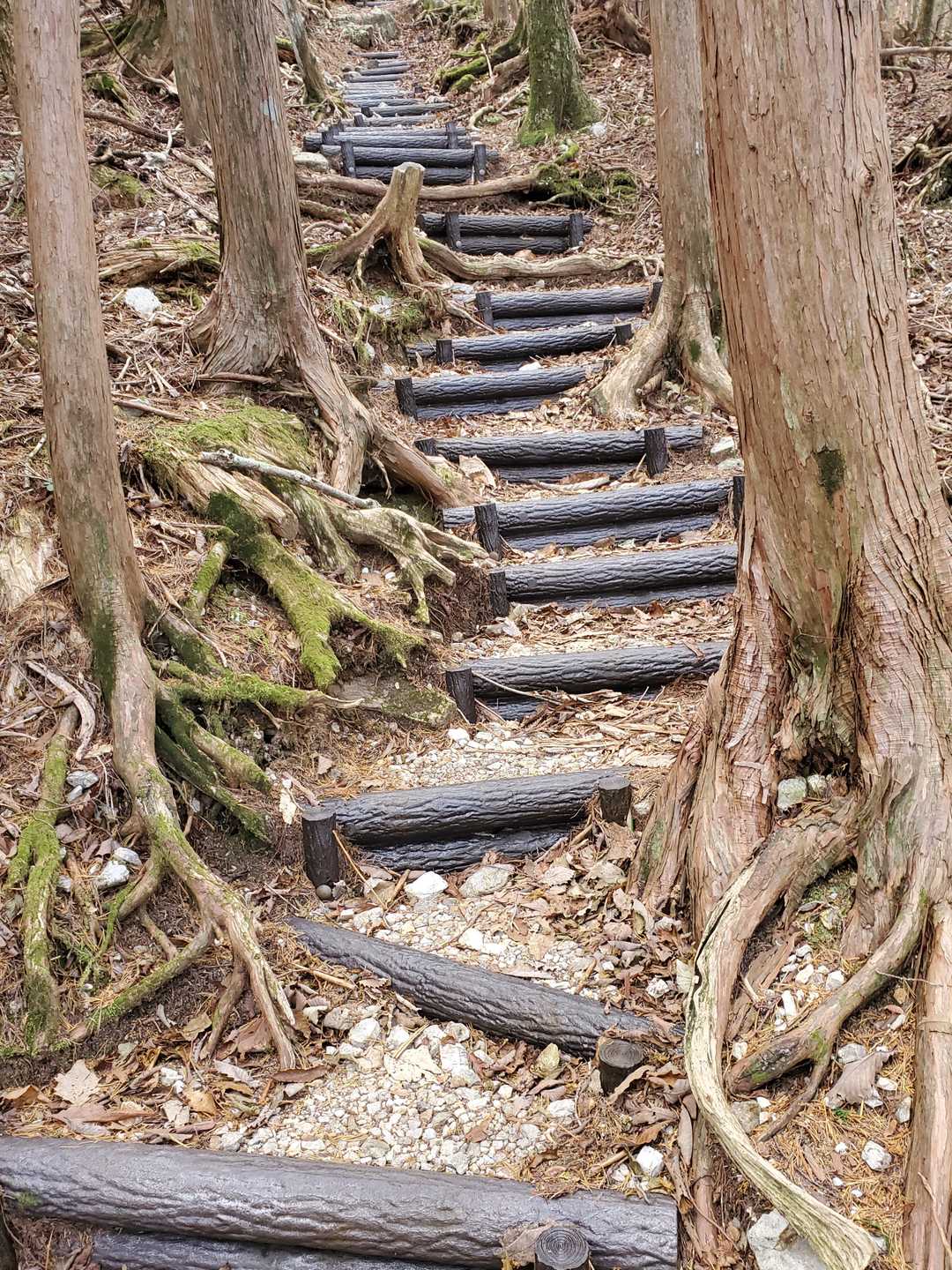 この階段は滑り易いので、歩幅を小さくして地面を歩くのが良い
