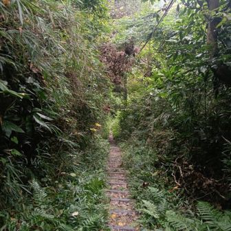 ピストンはやめることにしたので、上りとは反対側の芦名方向へ下ります