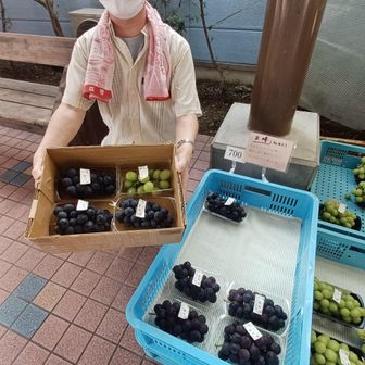 いっぱい買った🍇