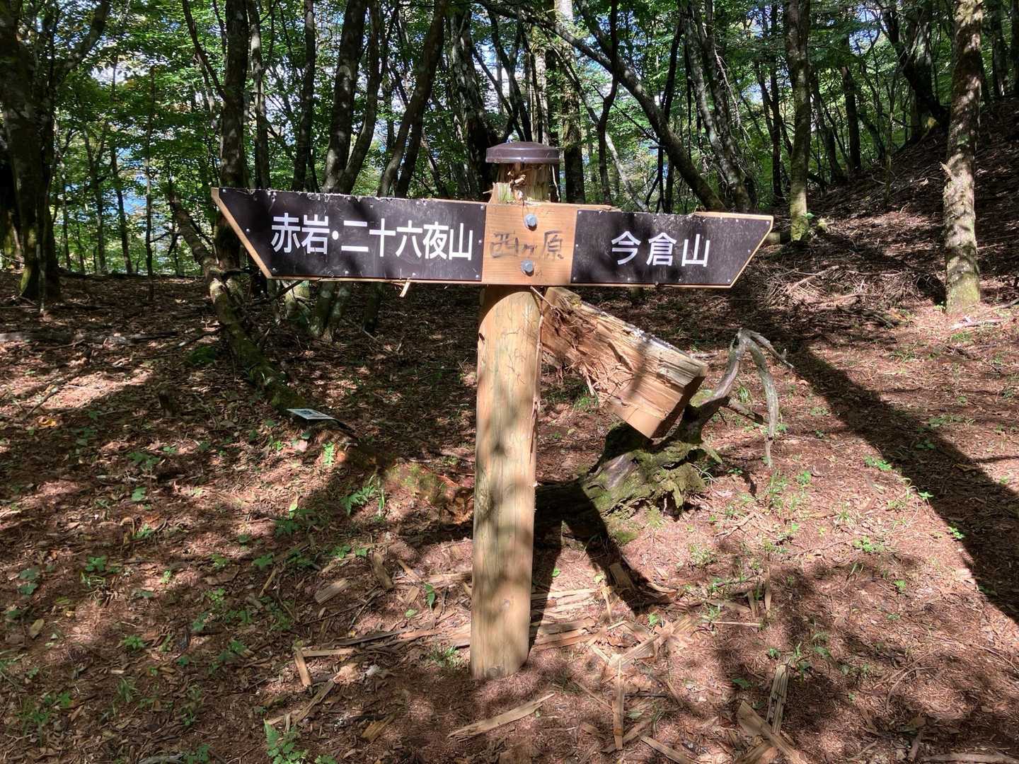 1時間余り登って尾根道に出ました。まずは赤岩へ向かいます。。