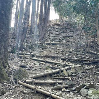 最後に、おなじみの九十九折りの吉祥坂。ここも標高差は40mほどだが、九十九折りのおかげで楽勝で上がることができる。