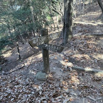 まだ先は長いな（笑）