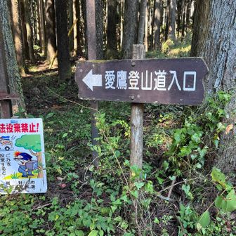 こちらから登られる方も多かったです。
駐車場🅿️は半分くらい空いてました
