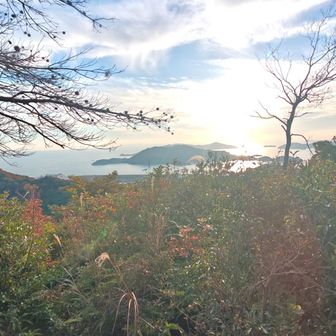 最後の大谷山ピーク▲
「二刀流大谷」の名にふさわしく？ピーク看板が少し離れて2箇所ありました⚾️
標高は276㍍と低めでも、僅かな紅葉と展望がいい感じです🍁