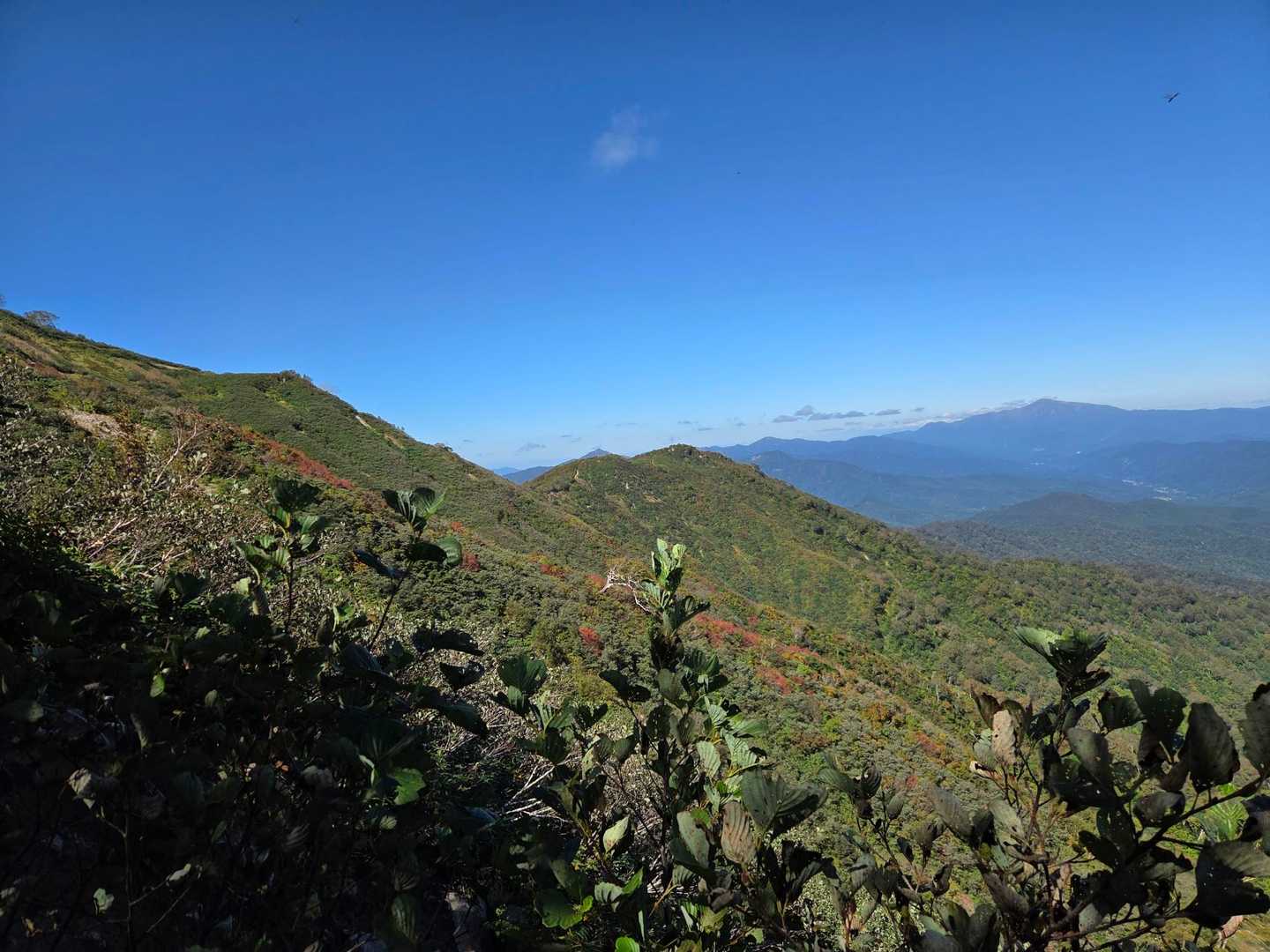 古寺鉱泉登山口-古寺山-小朝日岳-鳥原山-畑場峰 周回コースの写真